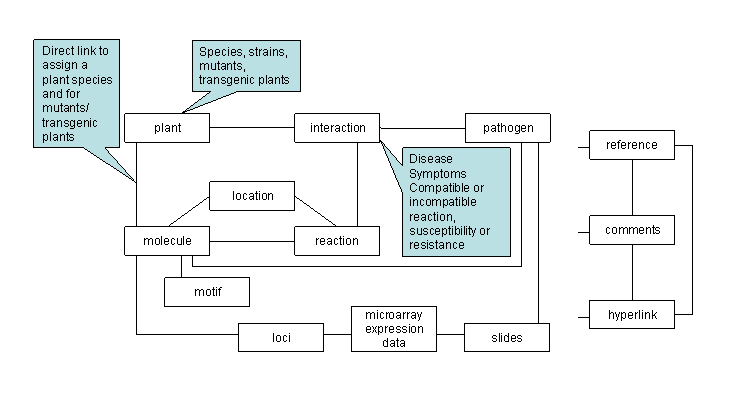 Pathoplant Database Scheme